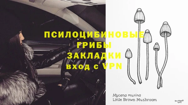 прущие крисы Абдулино