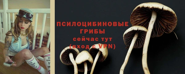 не бодяженный Абаза