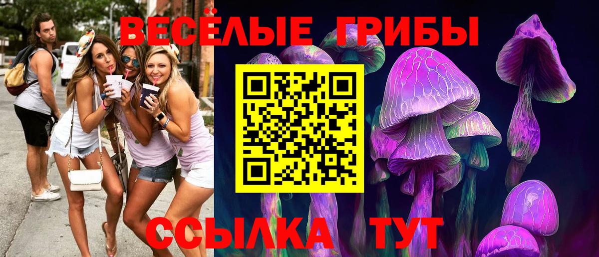 Псилоцибиновые грибы прущие грибы  Псилоцибиновые грибы MAGIC MUSHROOMS  Вход с VPN  Карталы 